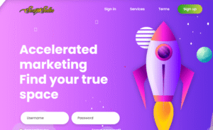 Free Modern smm perfect panel script